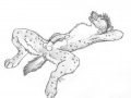 commission-yr.jpg